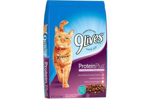 9Lives Protein Plus Dry Cat Food