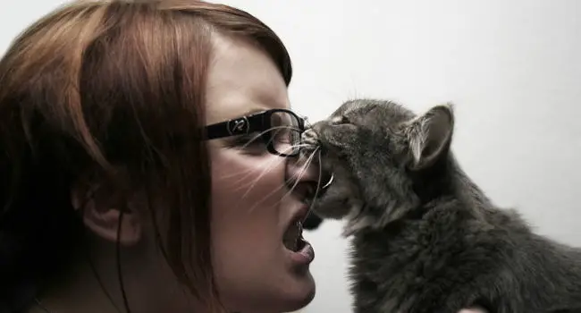 Kitten biting girl's nose
