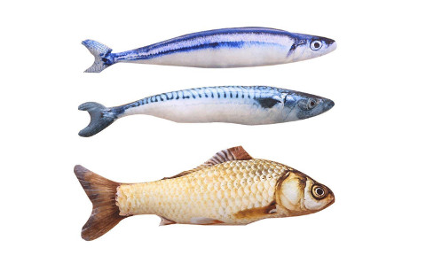 coolfm-catnip-toys-set-simulation-fish-shape480 Coolfm Catnip Toys Set Fish Shape