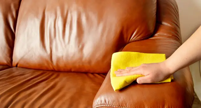 How to Get Cat Pee Out of Leather (Couch, Purse, Boots, etc.)