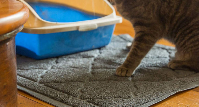 Cat standing on Easyology cat litter mat