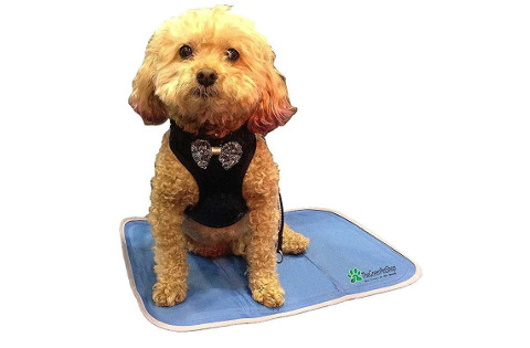 Green Pet Shop Cat Cooling Mat