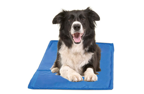 hugs-pet-products-chillz-cooling-gel-pad480 Hugs Pet Products Chillz Cooling Gel Pad for Cats