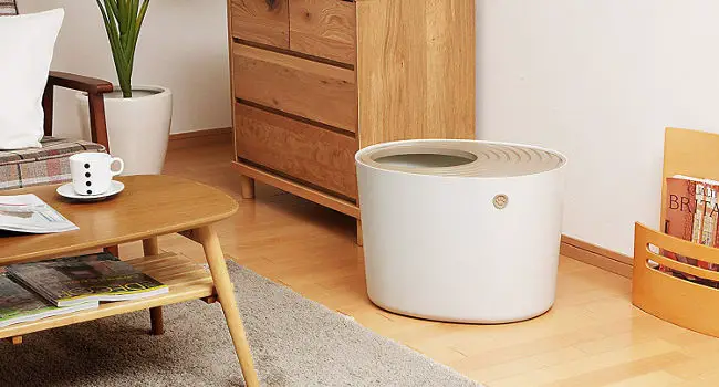 top entry litter box being used in living room