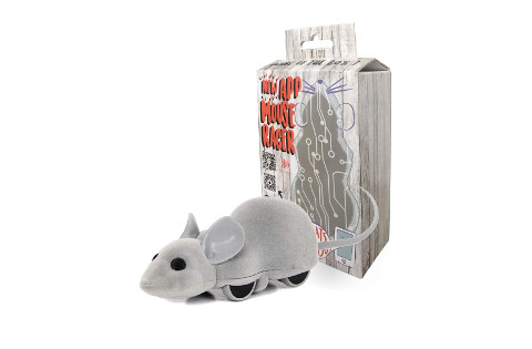 Ito Rocky Interactive Cat Chase Toy