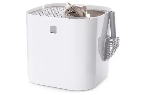 Modkat Litter Box with Top Entry and Scoop