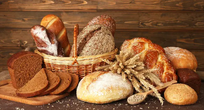 cats-eat-bread650 can cats eat bread