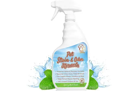 Sunny and Honey Pet Stain Odor Miracle
